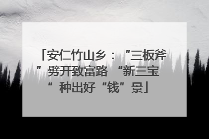 安仁竹山乡：“三板斧”劈开致富路 “新三宝”种出好“钱”景
