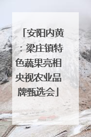安阳内黄：梁庄镇特色蔬果亮相央视农业品牌甄选会