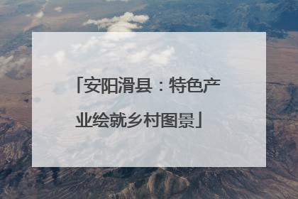 安阳滑县：特色产业绘就乡村图景