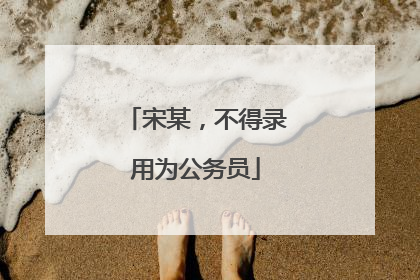 宋某，不得录用为公务员