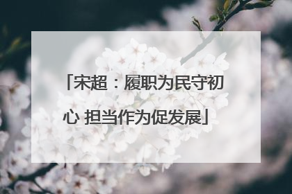宋超：履职为民守初心 担当作为促发展