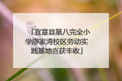 宜章县第八完全小学廖家湾校区劳动实践基地喜获丰收