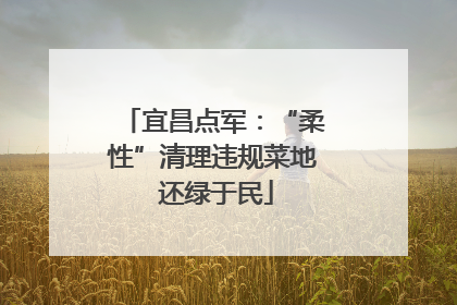 宜昌点军：“柔性”清理违规菜地 还绿于民