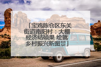 宝鸡陈仓区东关街道南阳村：大棚经济结硕果 绘就乡村振兴新图景