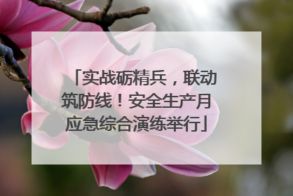 实战砺精兵，联动筑防线！安全生产月应急综合演练举行