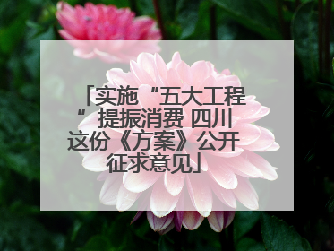 实施“五大工程”提振消费 四川这份《方案》公开征求意见
