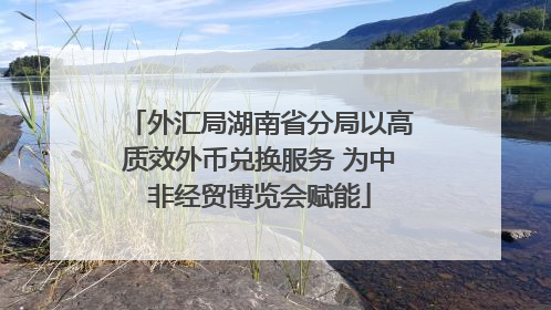 外汇局湖南省分局以高质效外币兑换服务 为中非经贸博览会赋能