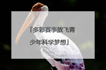 多彩赛事放飞青少年科学梦想
