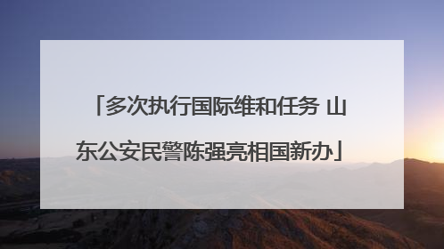 多次执行国际维和任务 山东公安民警陈强亮相国新办