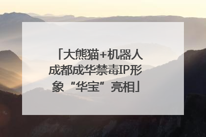 大熊猫+机器人 成都成华禁毒IP形象“华宝”亮相