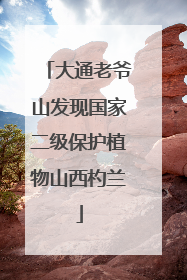 大通老爷山发现国家二级保护植物山西杓兰
