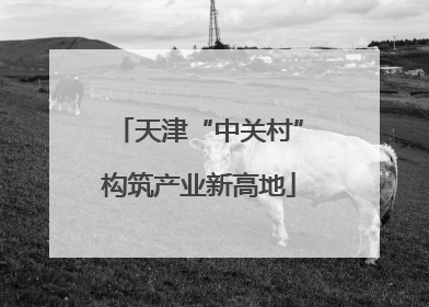 天津“中关村”构筑产业新高地