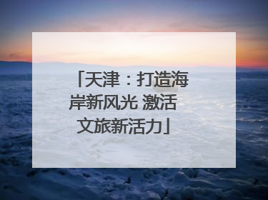 天津：打造海岸新风光 激活文旅新活力