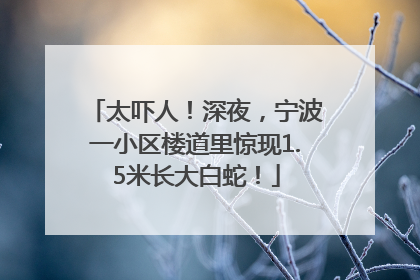 太吓人！深夜，宁波一小区楼道里惊现1.5米长大白蛇！