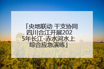 央地联动 干支协同 四川合江开展2025年长江-赤水河水上综合应急演练