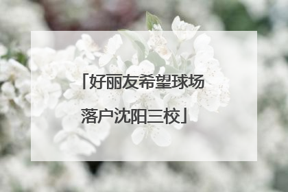 好丽友希望球场落户沈阳三校