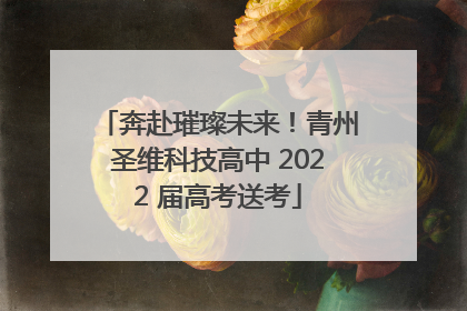 奔赴璀璨未来！青州圣维科技高中 2022 届高考送考