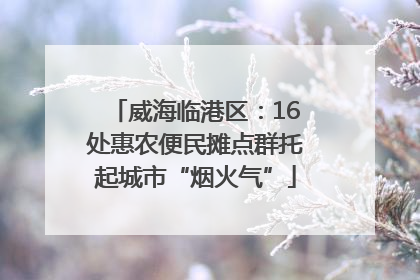 威海临港区：16处惠农便民摊点群托起城市“烟火气”