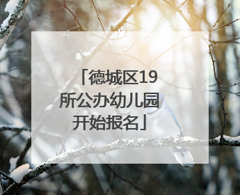 德城区19所公办幼儿园开始报名