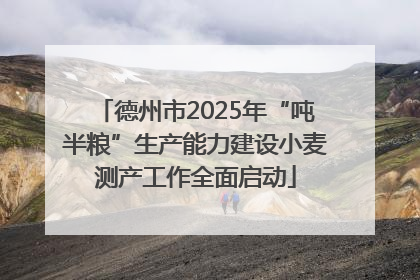 德州市2025年“吨半粮”生产能力建设小麦测产工作全面启动