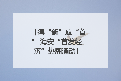 得“新”应“首” 海安“首发经济”热潮涌动