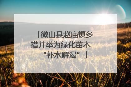 微山县赵庙镇多措并举为绿化苗木“补水解渴”