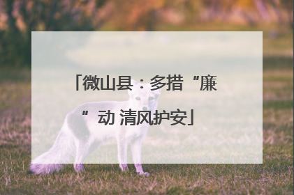 微山县：多措“廉”动 清风护安