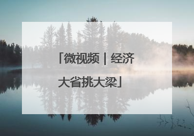 微视频｜经济大省挑大梁