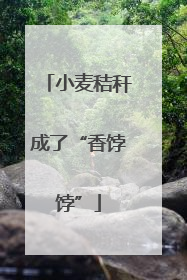 小麦秸秆成了“香饽饽”