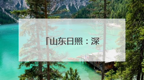 山东日照：深入推进港产城高质量融合发展