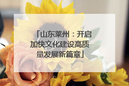 山东莱州：开启加快文化建设高质量发展新篇章