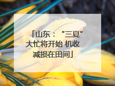 山东：“三夏”大忙将开始 机收减损在田间