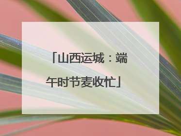 山西运城：端午时节麦收忙
