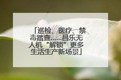 巡检、医疗、禁毒踏查……昌乐无人机“解锁”更多生活生产新场景