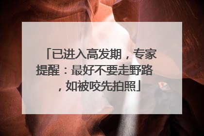 已进入高发期，专家提醒：最好不要走野路，如被咬先拍照