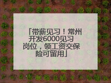 带薪见习！常州开发6000见习岗位，领工资交保险可留用