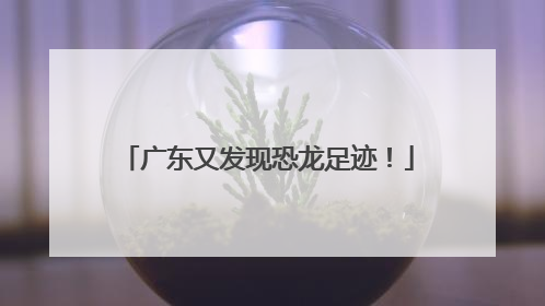 广东又发现恐龙足迹！