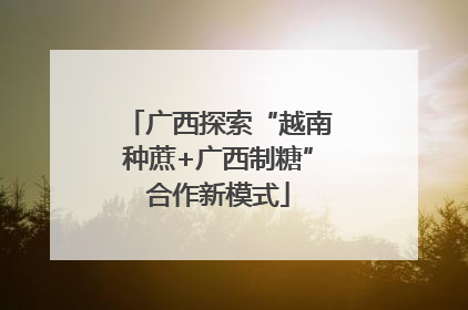广西探索“越南种蔗+广西制糖”合作新模式