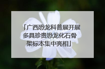 广西恐龙科普展开展 多具珍贵恐龙化石骨架标本集中亮相
