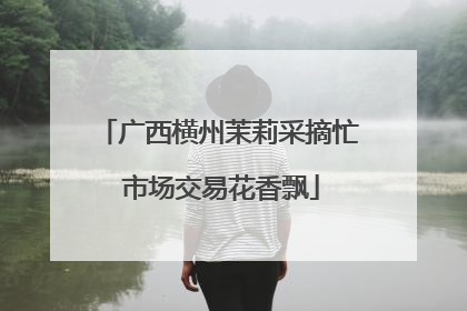 广西横州茉莉采摘忙 市场交易花香飘