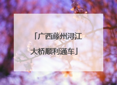 广西藤州浔江大桥顺利通车