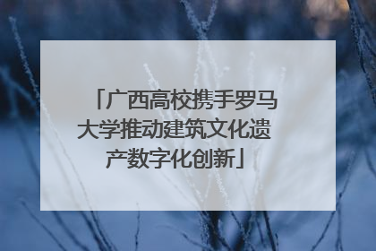 广西高校携手罗马大学推动建筑文化遗产数字化创新