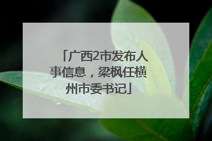 广西2市发布人事信息，梁枫任横州市委书记