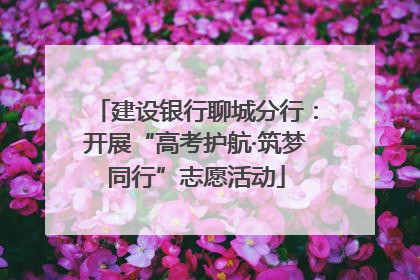 建设银行聊城分行：开展“高考护航·筑梦同行”志愿活动