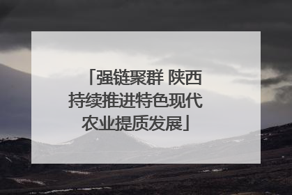 强链聚群 陕西持续推进特色现代农业提质发展