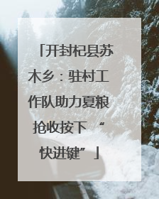 开封杞县苏木乡：驻村工作队助力夏粮抢收按下 “快进键”