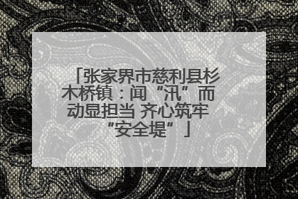 张家界市慈利县杉木桥镇：闻“汛”而动显担当 齐心筑牢“安全堤”