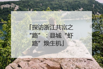 探访浙江共富之“路”：县城“虾路”焕生机