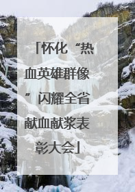 怀化“热血英雄群像”闪耀全省献血献浆表彰大会