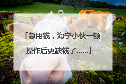 急用钱，海宁小伙一顿操作后更缺钱了……